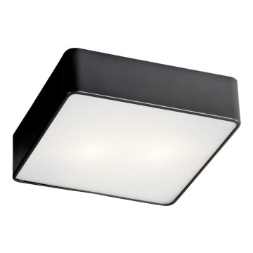 Argon 654 - Ceiling light ONTARIO 2xE27/15W/230V