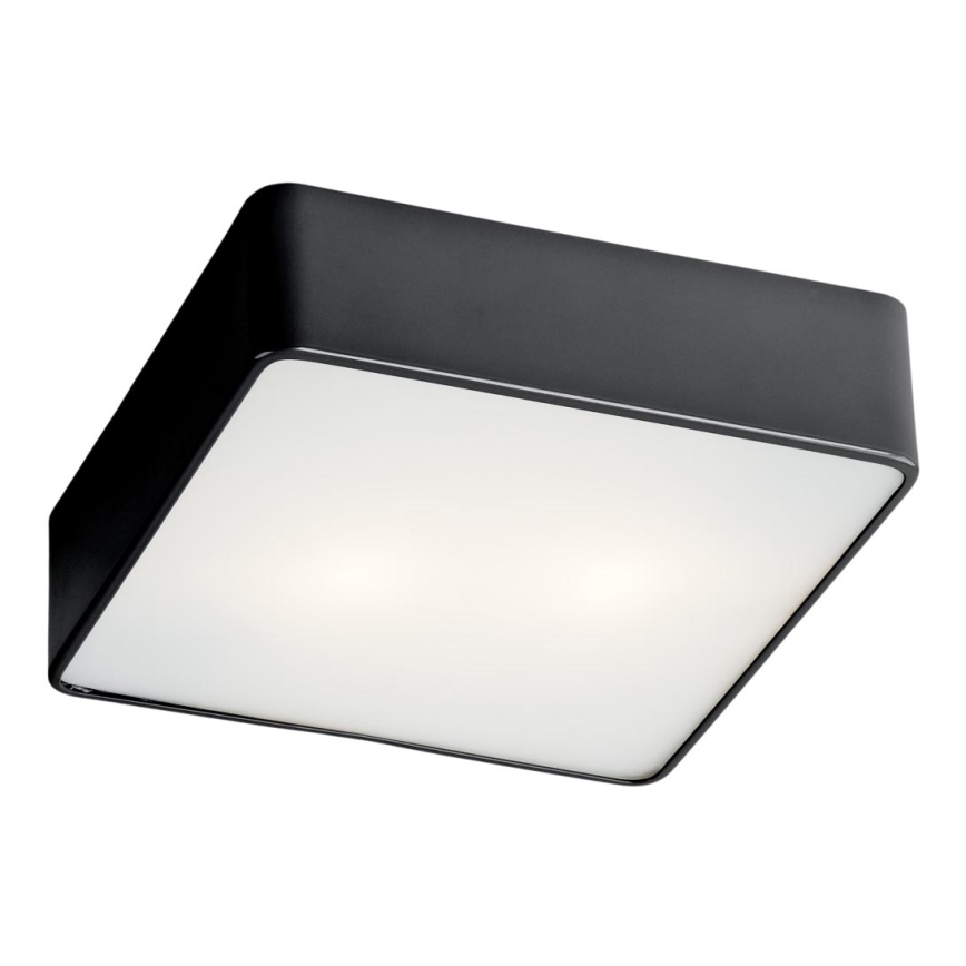 Argon 654 - Ceiling light ONTARIO 2xE27/15W/230V