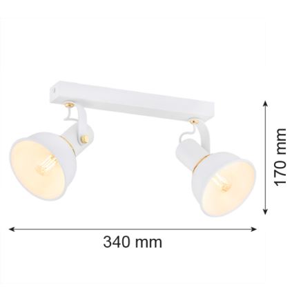 Argon 7036 - Spotlight TWIST 2xE14/7W/230V white/golden