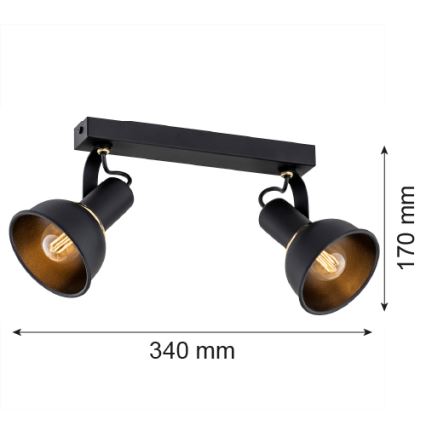 Argon 7037 - Spotlight TWIST 2xE14/7W/230V black/golden