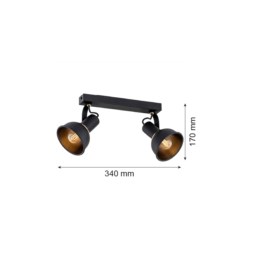 Argon 7037 - Spotlight TWIST 2xE14/7W/230V black/golden