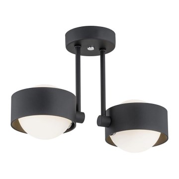 Argon 7089 - Chandelier on a pole MASSIMO PLUS 2xG9/6W/230V black