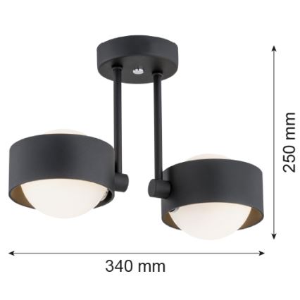 Argon 7089 - Chandelier on a pole MASSIMO PLUS 2xG9/6W/230V black