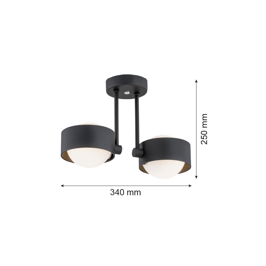 Argon 7089 - Chandelier on a pole MASSIMO PLUS 2xG9/6W/230V black