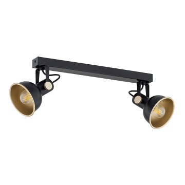 Argon 7142 - Spotlight LENORA 2xE14/7W/230V black