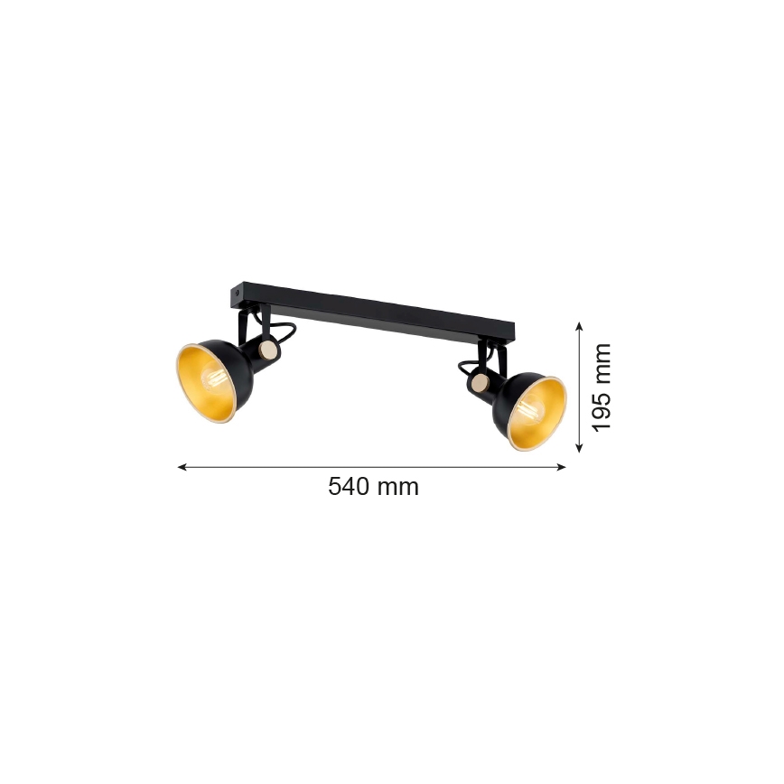 Argon 7142 - Spotlight LENORA 2xE14/7W/230V black