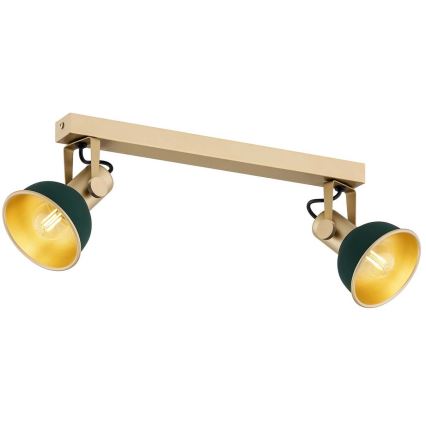 Argon 7143 - Spotlight LENORA 2xE14/7W/230V gold/green