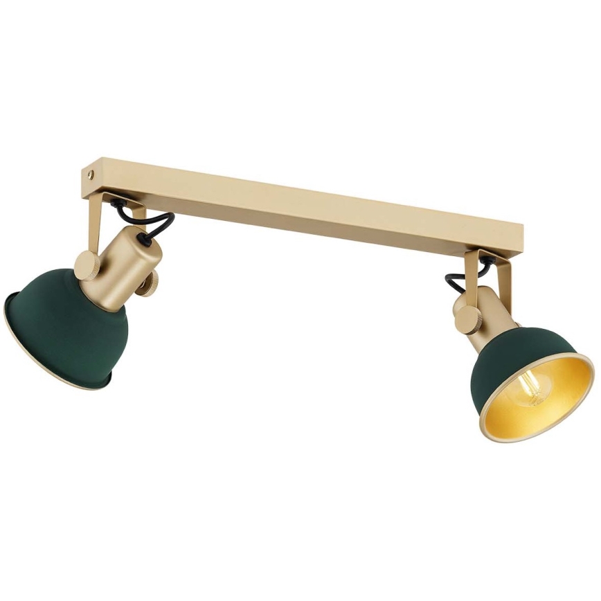 Argon 7143 - Spotlight LENORA 2xE14/7W/230V gold/green