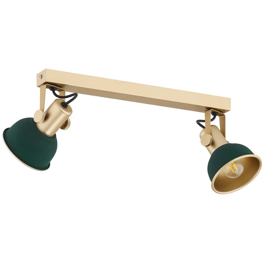 Argon 7143 - Spotlight LENORA 2xE14/7W/230V gold/green