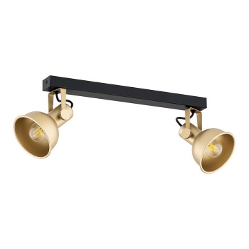 Argon 7144 - Spotlight LENORA 2xE14/7W/230V gold/black