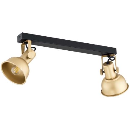 Argon 7144 - Spotlight LENORA 2xE14/7W/230V gold/black