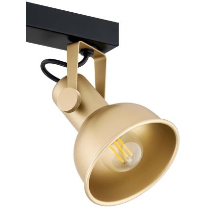 Argon 7144 - Spotlight LENORA 2xE14/7W/230V gold/black