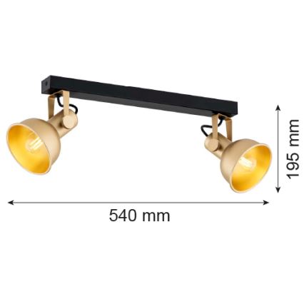 Argon 7144 - Spotlight LENORA 2xE14/7W/230V gold/black