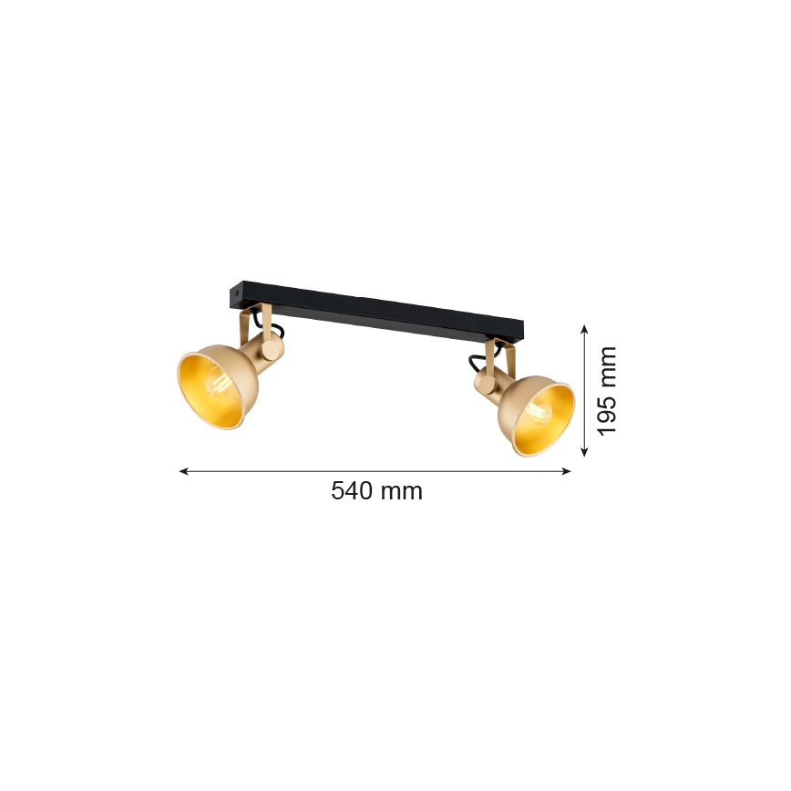 Argon 7144 - Spotlight LENORA 2xE14/7W/230V gold/black