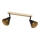 Argon 7147 - Spotlight LUCINDA 2xE14/7W/230V black/gold