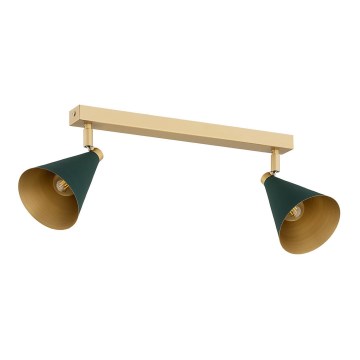 Argon 7148 - Spotlight LUCINDA 2xE14/7W/230V green