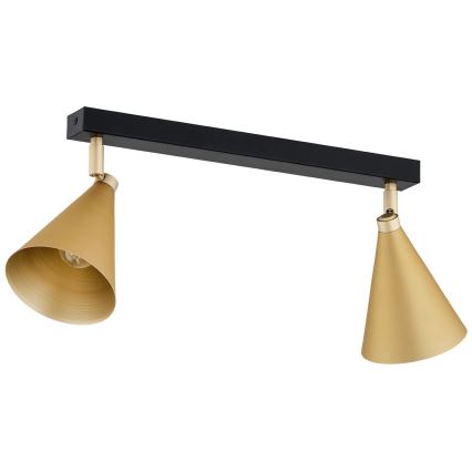 Argon 7149 - Spotlight LUCINDA 2xE14/7W/230V gold