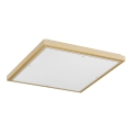 Argon 7167 - Ceiling light CARLSON 2xE27/15W/230V 29x29 cm gold