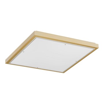 Argon 7167 - Ceiling light CARLSON 2xE27/15W/230V 29x29 cm gold