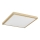 Argon 7167 - Ceiling light CARLSON 2xE27/15W/230V 29x29 cm gold