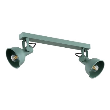 Argon 7174 - Spotlight LENORA 2xE14/7W/230V green