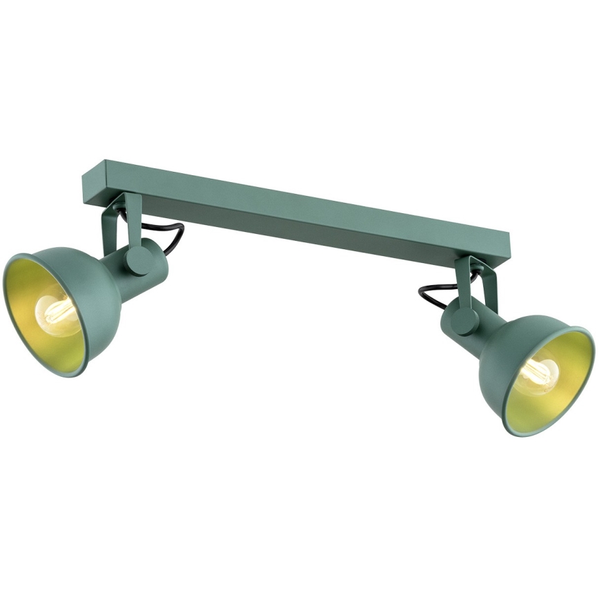Argon 7174 - Spotlight LENORA 2xE14/7W/230V green