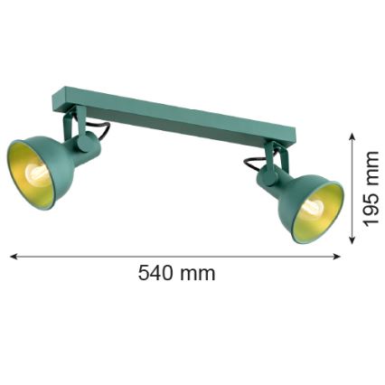Argon 7174 - Spotlight LENORA 2xE14/7W/230V green