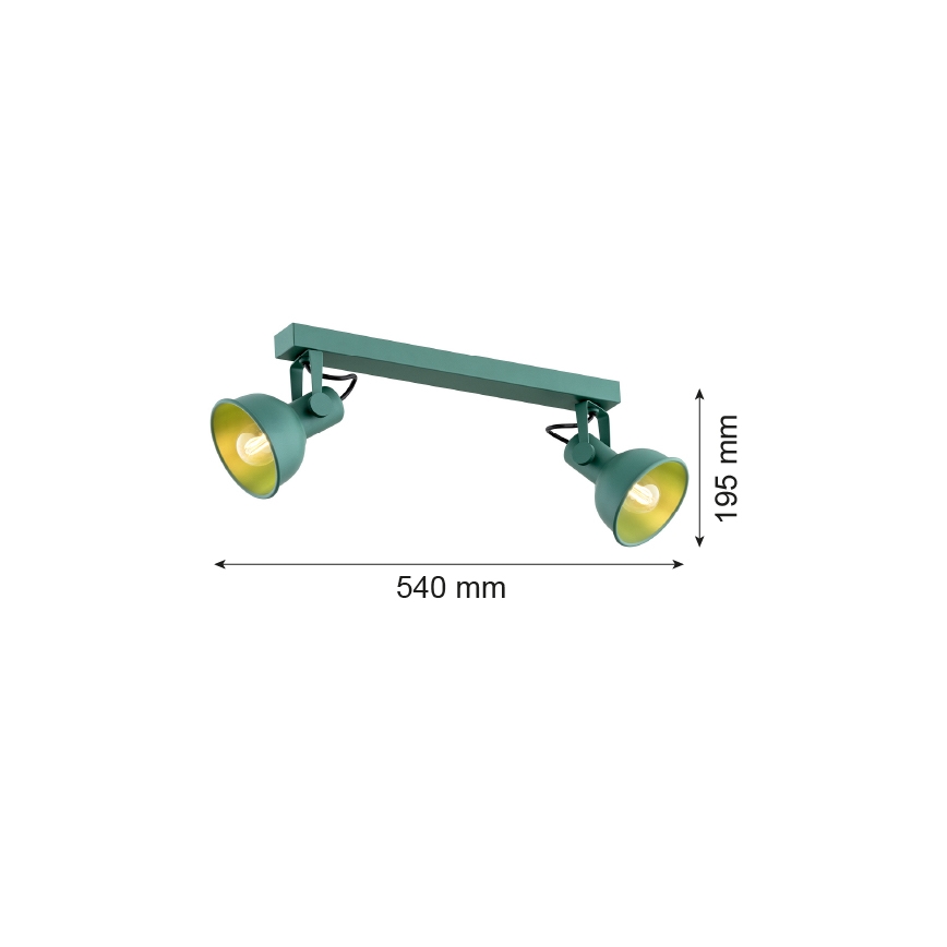 Argon 7174 - Spotlight LENORA 2xE14/7W/230V green