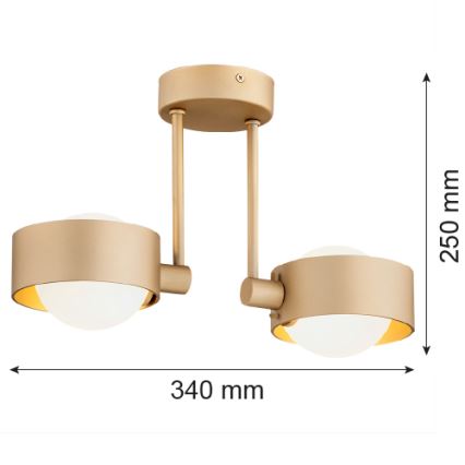 Argon 7215 - Bathroom chandelier on a pole MASSIMO PLUS 2xG9/6W/230V IP44 gold