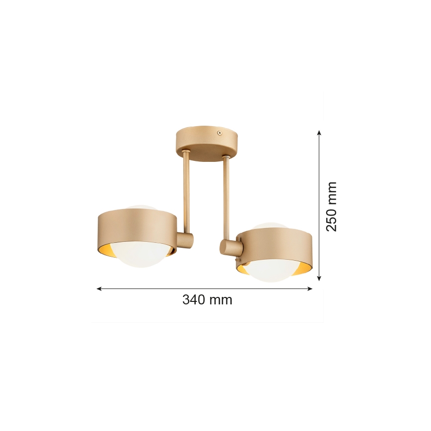 Argon 7215 - Bathroom chandelier on a pole MASSIMO PLUS 2xG9/6W/230V IP44 gold