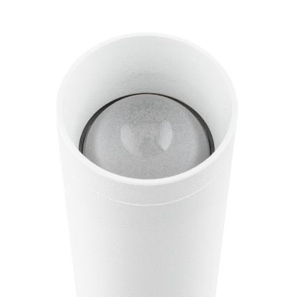 Argon 7223 - LED Wall light GRECO 2xLED/4,2W/230V 3000K white