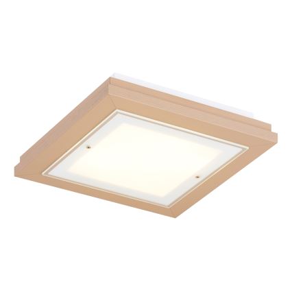 Argon 7267 - TABOR ceiling light 2xE27/15W/230V 32x32 cm beige