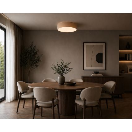 Argon 7296 - DARLINGOS Ceiling Light 2xE27/15W/230V, Ø 25 cm, Beige