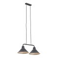 Argon 768 - Pendant light DŻERBA 2xE27/60W/230V