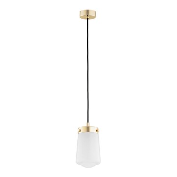 Argon 8004 - Chandelier on a string PASADENA 1xE27/15W/230V golden/white
