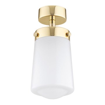 Argon 8005 - Surface-mounted chandelier PASADENA 1xE27/15W/230V gold/white