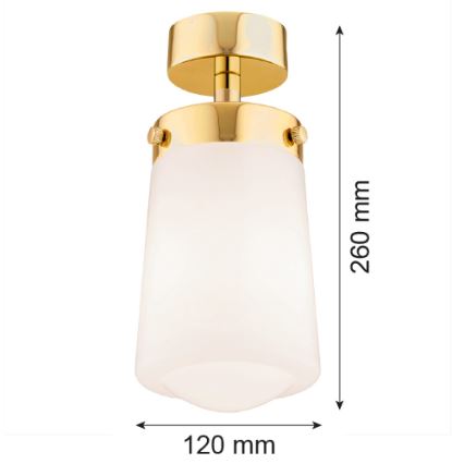 Argon 8005 - Surface-mounted chandelier PASADENA 1xE27/15W/230V gold/white