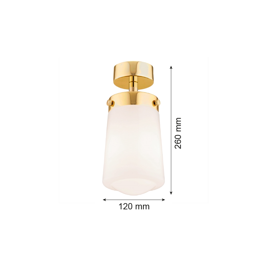 Argon 8005 - Surface-mounted chandelier PASADENA 1xE27/15W/230V gold/white