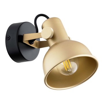 Argon 8248 - Spotlight LENORA 1xE14/7W/230V gold/black