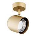 Argon 8260 - Spotlight ISOLA 1xGU10/5W/230V