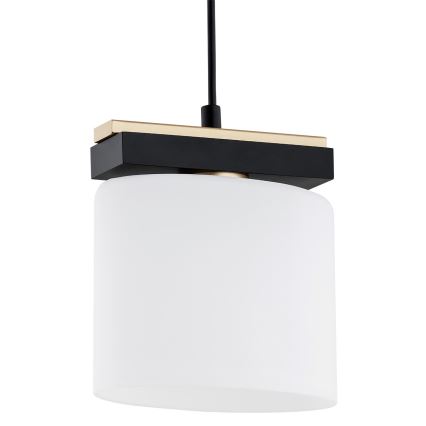Argon 8276 - Chandelier on a string CANOA 1xE27/15W/230V black