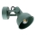 Argon 8299 - Spotlight LENORA 1xE14/7W/230V green