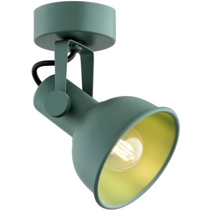 Argon 8299 - Spotlight LENORA 1xE14/7W/230V green