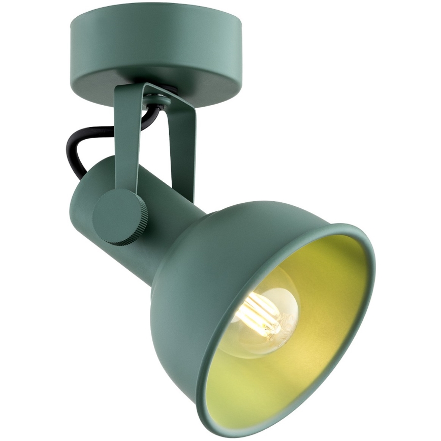 Argon 8299 - Spotlight LENORA 1xE14/7W/230V green