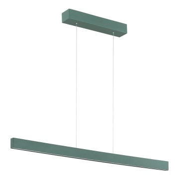 Argon 8305 - LED Chandelier on a string BALANS LED/35W/230V 3000K green