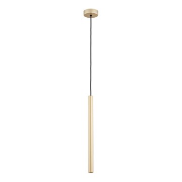 Argon 8327 - LED Chandelier on a string RIO LED/4,2W/230V 3000K gold