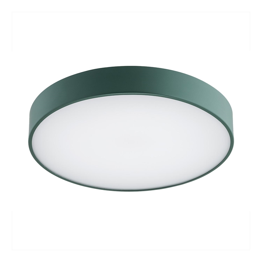 Argon 8335 - LED Ceiling light TIAMO LED/22W/230V 4000K green