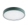 Argon 8335 - LED Ceiling light TIAMO LED/22W/230V 4000K green