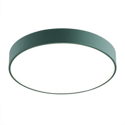 Argon 8335 - LED Ceiling light TIAMO LED/22W/230V 4000K green