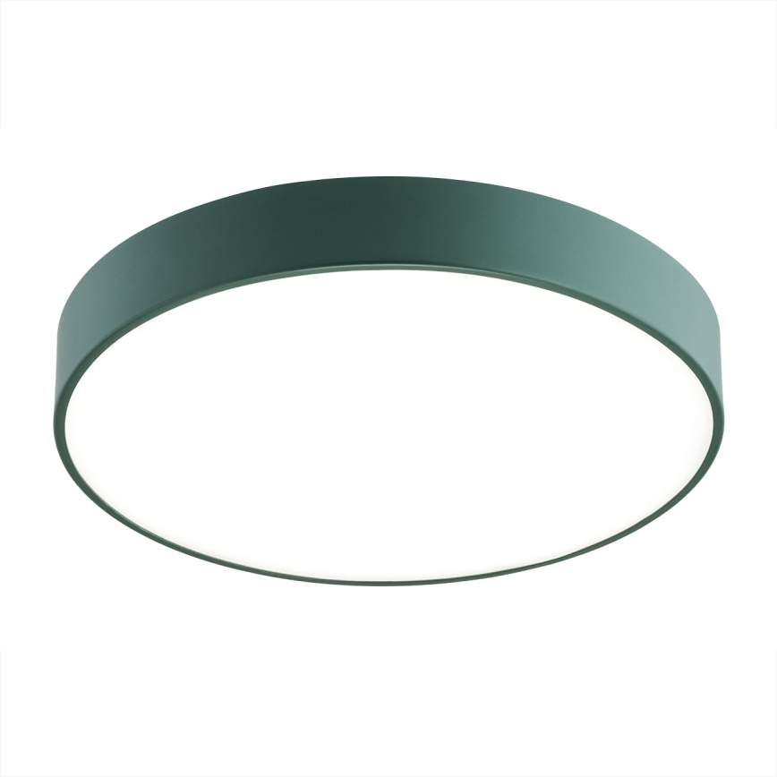 Argon 8335 - LED Ceiling light TIAMO LED/22W/230V 4000K green